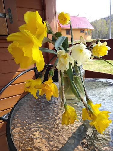 Agata Guz-Dolińska, Kocioł 5a, 57-343 Lewin Kłodzki