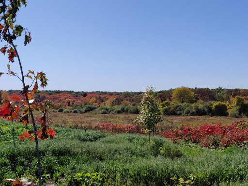 Park «Mary Cummings Park», reviews and photos, 25 Blanchard Rd, Burlington, MA 01803, USA
