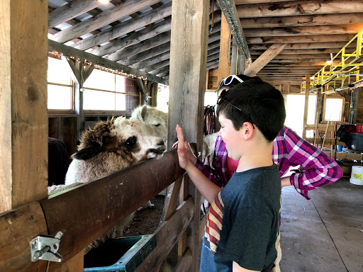 Tybush Mountain Alpaca Farm