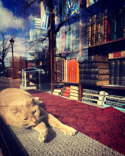 Used Book Store «Carroll & Carroll Booksellers», reviews and photos, 740 Main St, Stroudsburg, PA 18360, USA