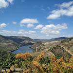 Photo n°2 de l'avis de Shaked.o fait le 10/08/2019 à 19:05 sur le  Quinta Nova Nossa Senhora do Carmo à Quinta Nova
