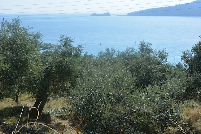 Αξιολογήσεις για το Real Estate Enjoy thassos στην Θάσος - Κτηματομεσιτικό γραφείο