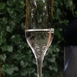 Photo n°1 de l'avis de Roberta.r fait le 12/06/2021 à 20:20 sur le  Osteria di Villafredda à Loneriacco