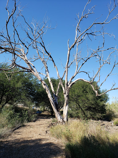 Nature Preserve «McAllen Nature Center», reviews and photos, 4101 U.S. 83 Business, McAllen, TX 78501, USA