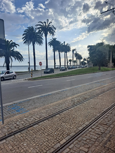 Tram Linha 1 - Terminus Passeio Alegre - Serviço de transporte