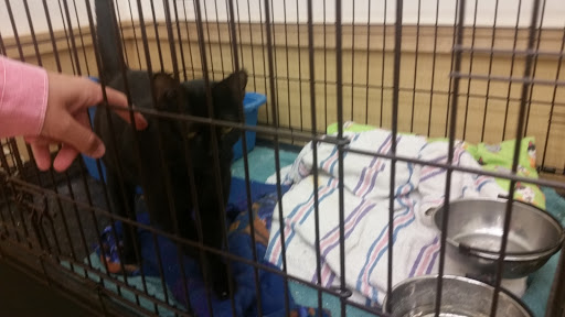 Pet Supply Store «Pet Supplies Plus», reviews and photos, 311 Sagamore Pkwy N, Lafayette, IN 47904, USA