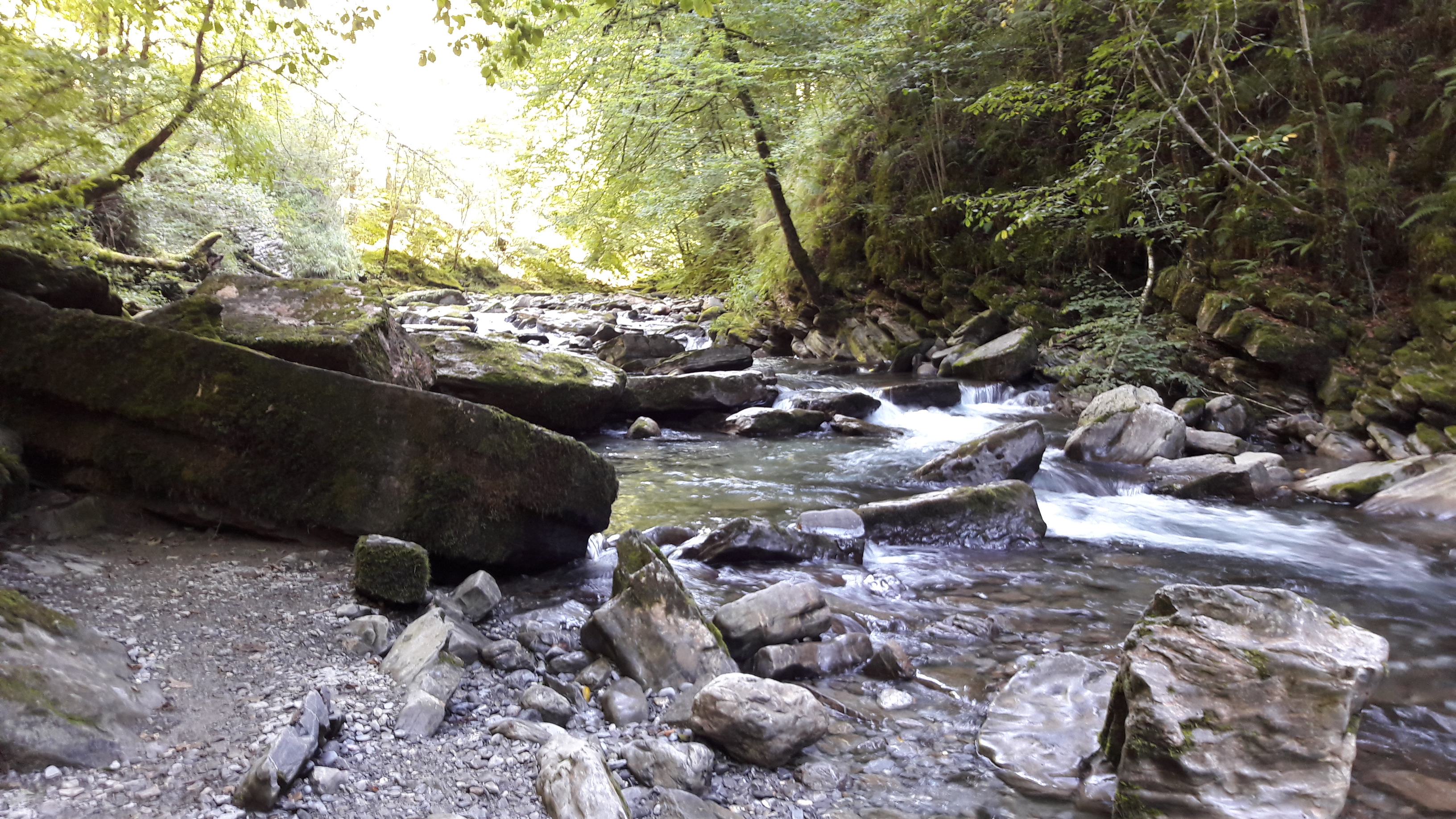 Photo n° 1 de l'avis de Romain.o fait le 20/08/2017 à 05:41