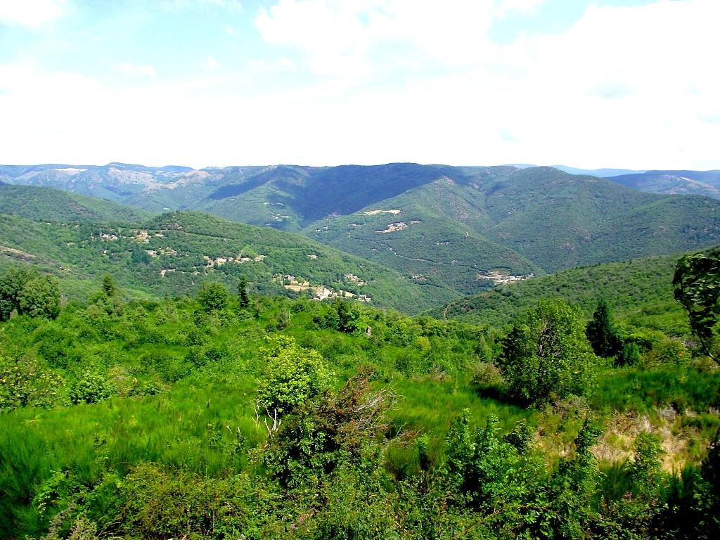 Photo n° 1 de l'avis de Thierry.E fait le 04/08/2017 à 16:10