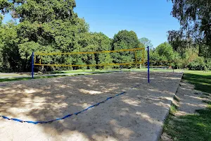 Volleyball Court At Vingis Park image