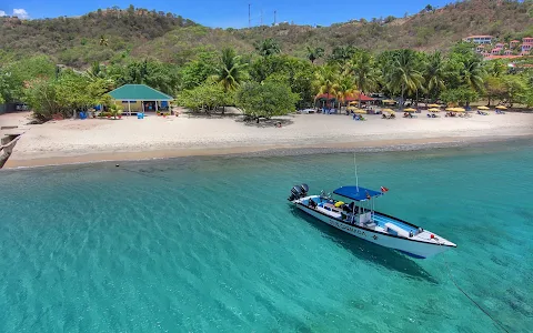 Dive Grenada image