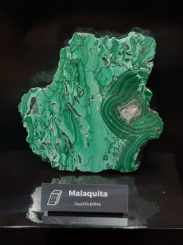 Museo Mineralógico de la Universidad de Atacama - Museo