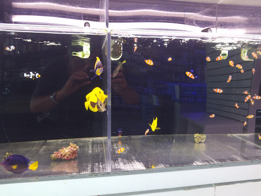 Tropical Fish Store «Ocean Blue Aquarium», reviews and photos, 2246 Aloma Ave, Winter Park, FL 32792, USA
