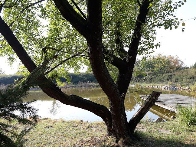 Békéscsaba Almáskerti Ipari Park - Építőipari vállalkozás