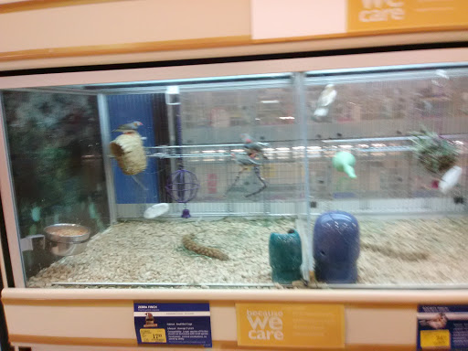 Pet Supply Store «PetSmart», reviews and photos, 1390 N Dupont Hwy, Dover, DE 19901, USA