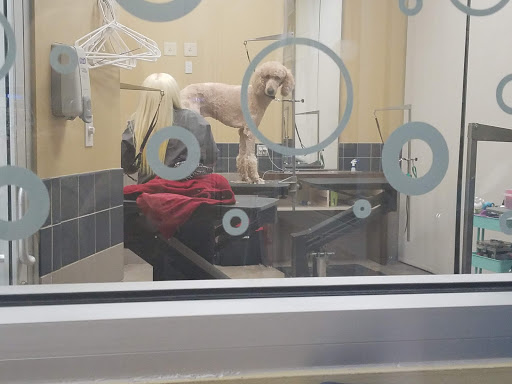 Pet Supply Store «Petco Animal Supplies», reviews and photos, 2435 N Hwy 67, Florissant, MO 63033, USA