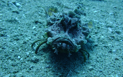 Seven Sisters Diving Site image