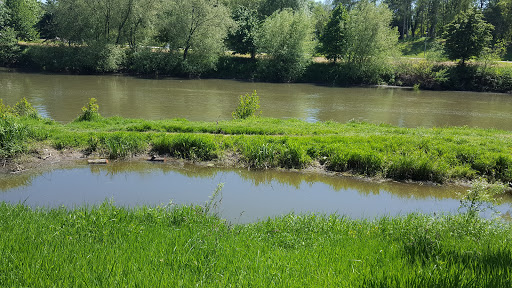 Photo 4 - Davesne et Cie