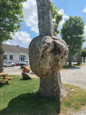 Parc de la place de la Mairie à Saint-Sornin-Leulac