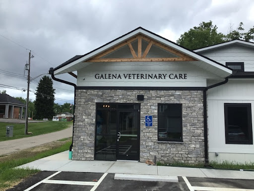 Galena Veterinary Care