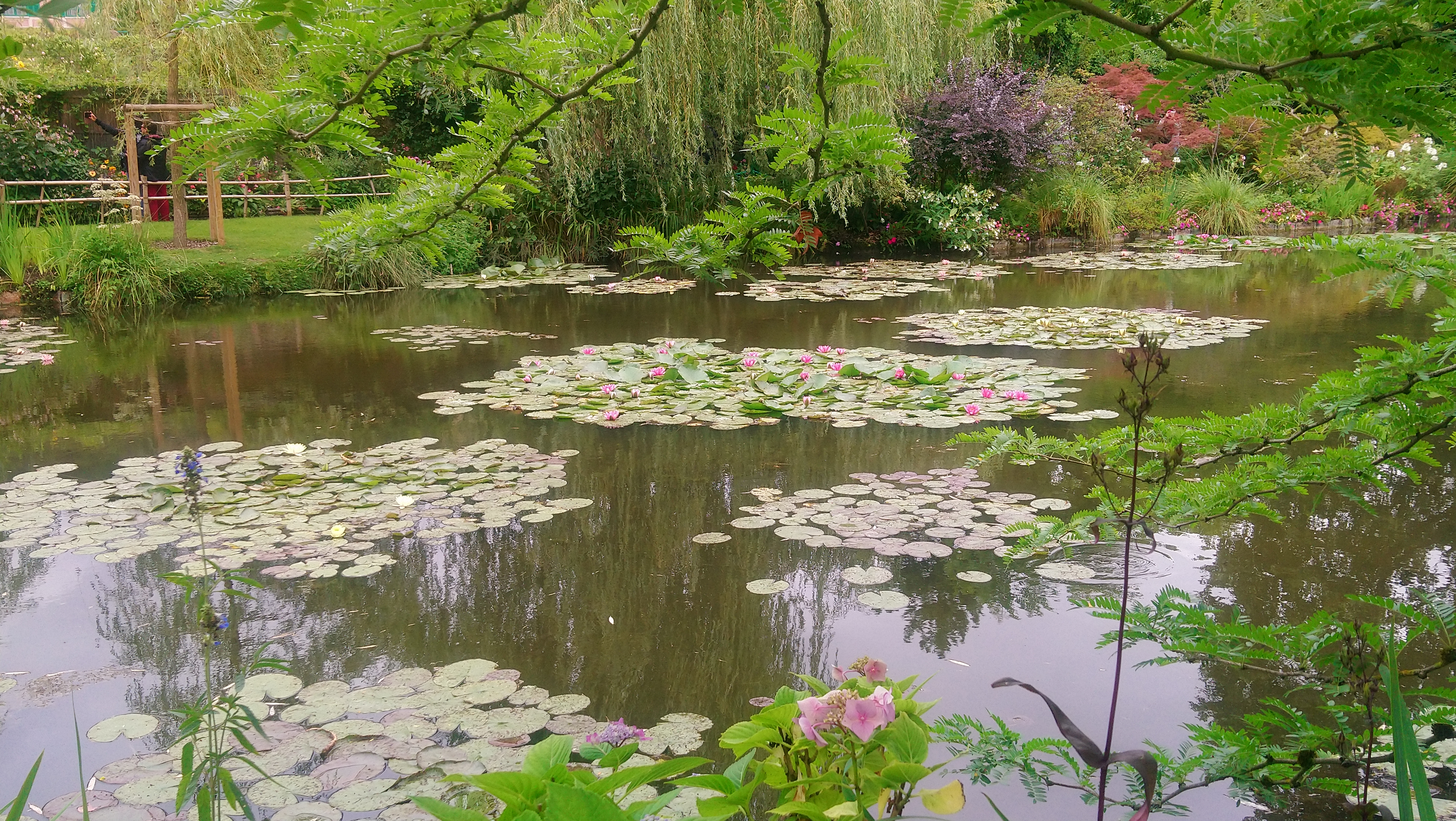 Photo n° 22 de l'avis de Angèle.K fait le 03/08/2020 à 11:24