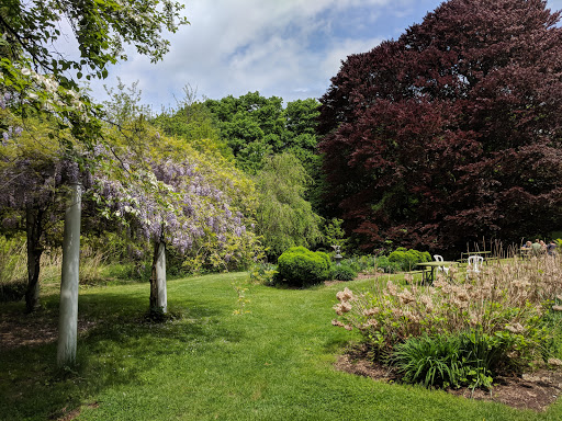 Vineyard «Diamond Hill Vineyards», reviews and photos, 3145 Diamond Hill Rd, Cumberland, RI 02864, USA