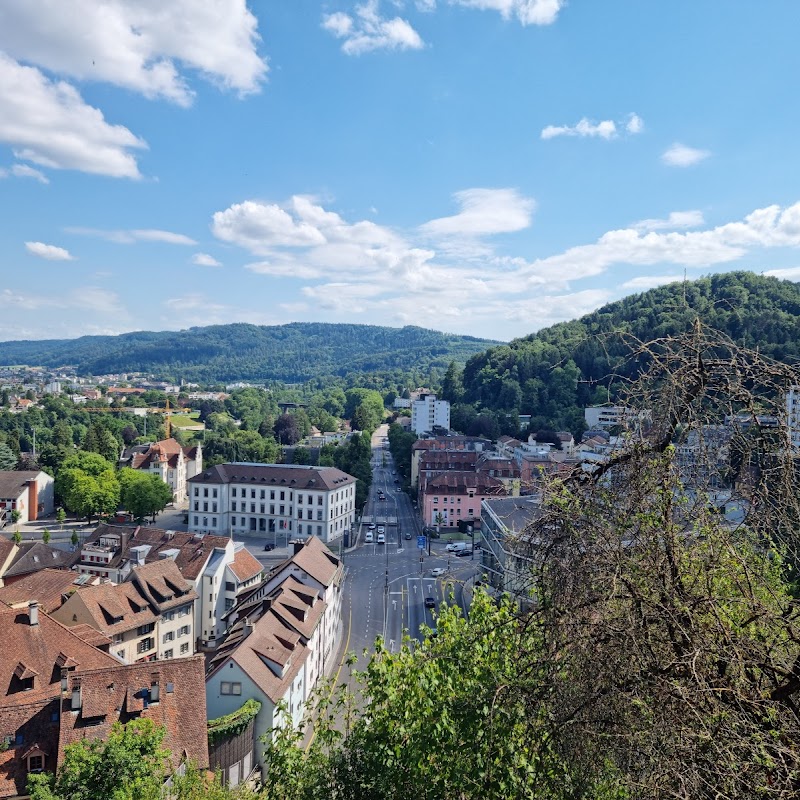 Ruine Stein