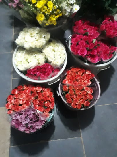 BNT TARIM çiçekçilik
