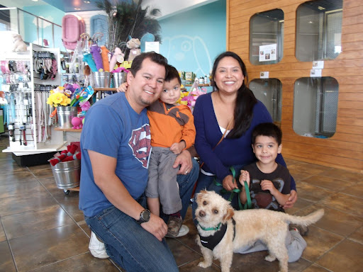 Pet Adoption Service «Found Animals Adopt & Shop», reviews and photos, 353 Lakewood Center Mall, Lakewood, CA 90712, USA