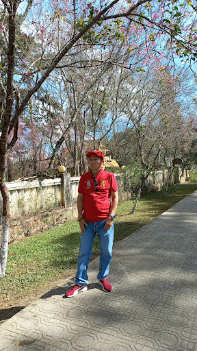 Top 20 bs mart cửa hàng Thành phố Thái Bình Thái Bình 2022