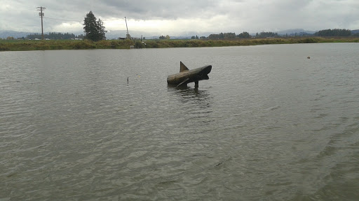 Golf Course «Pumpkin Ridge Golf Club», reviews and photos, 12930 NW Old Pumpkin Ridge Rd, North Plains, OR 97133, USA