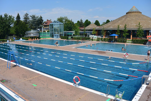 Landhäuser 20 Personen mit Schwimmbad Mannheim