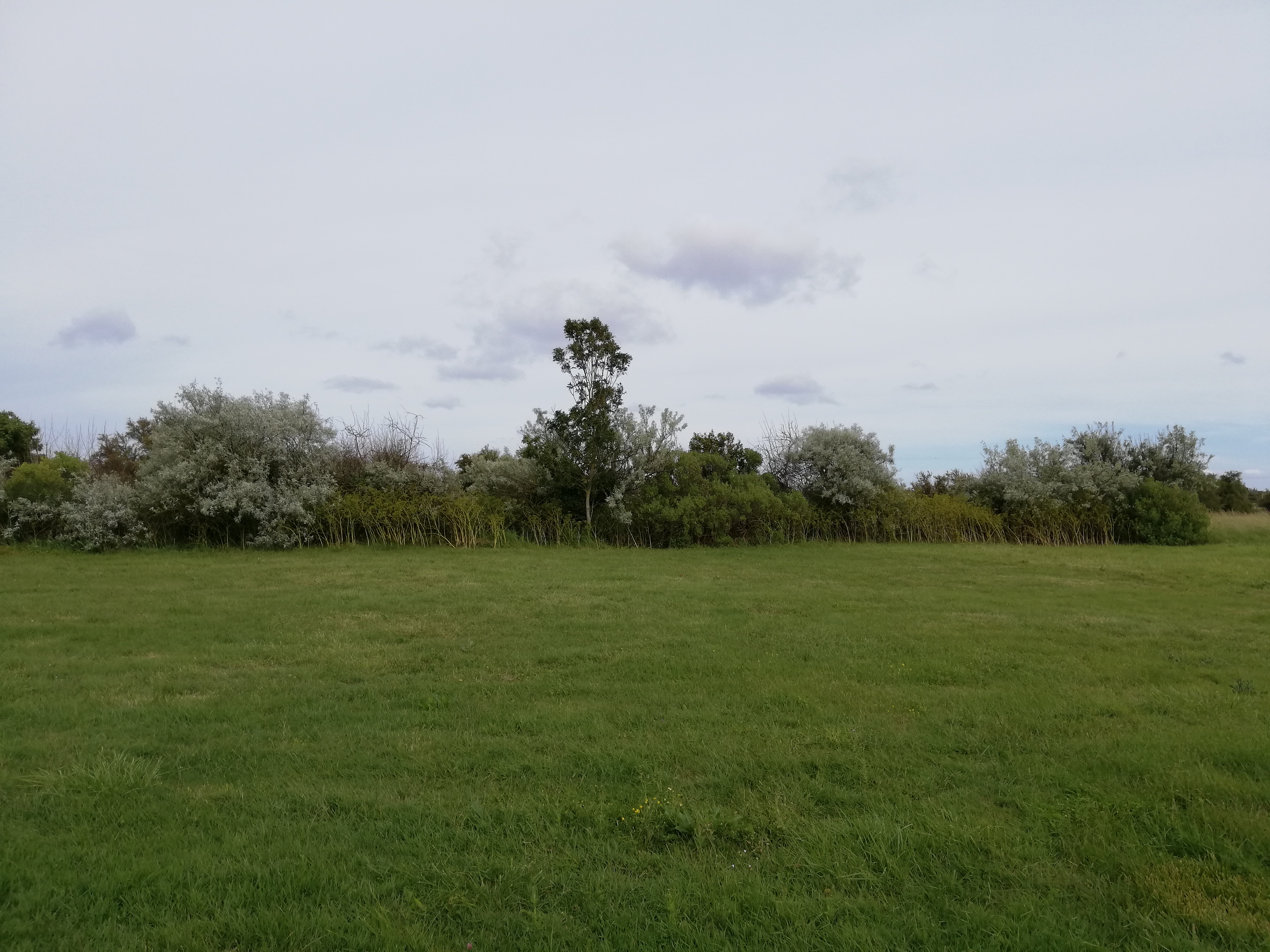 Photo n° 9 de l'avis de Gilles.a fait le 12/06/2019 à 22:43