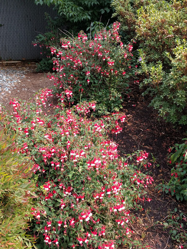 Park «Clyde Beach Park», reviews and photos, 2 92nd Ave NE, Bellevue, WA 98004, USA