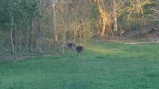 Golf Club «The Château Élan Golf Club», reviews and photos, 6060 Golf Club Dr, Braselton, GA 30517, USA