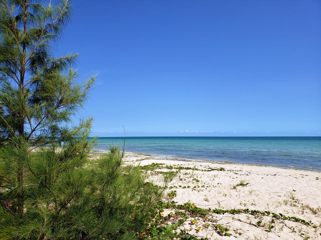 Coral Harbour beach的照片 具有部分干净级别的清洁度