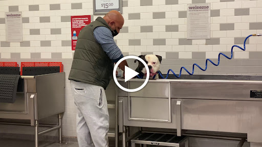 Pet Supply Store «Unleashed by Petco», reviews and photos, 520 S 23rd St, Philadelphia, PA 19146, USA