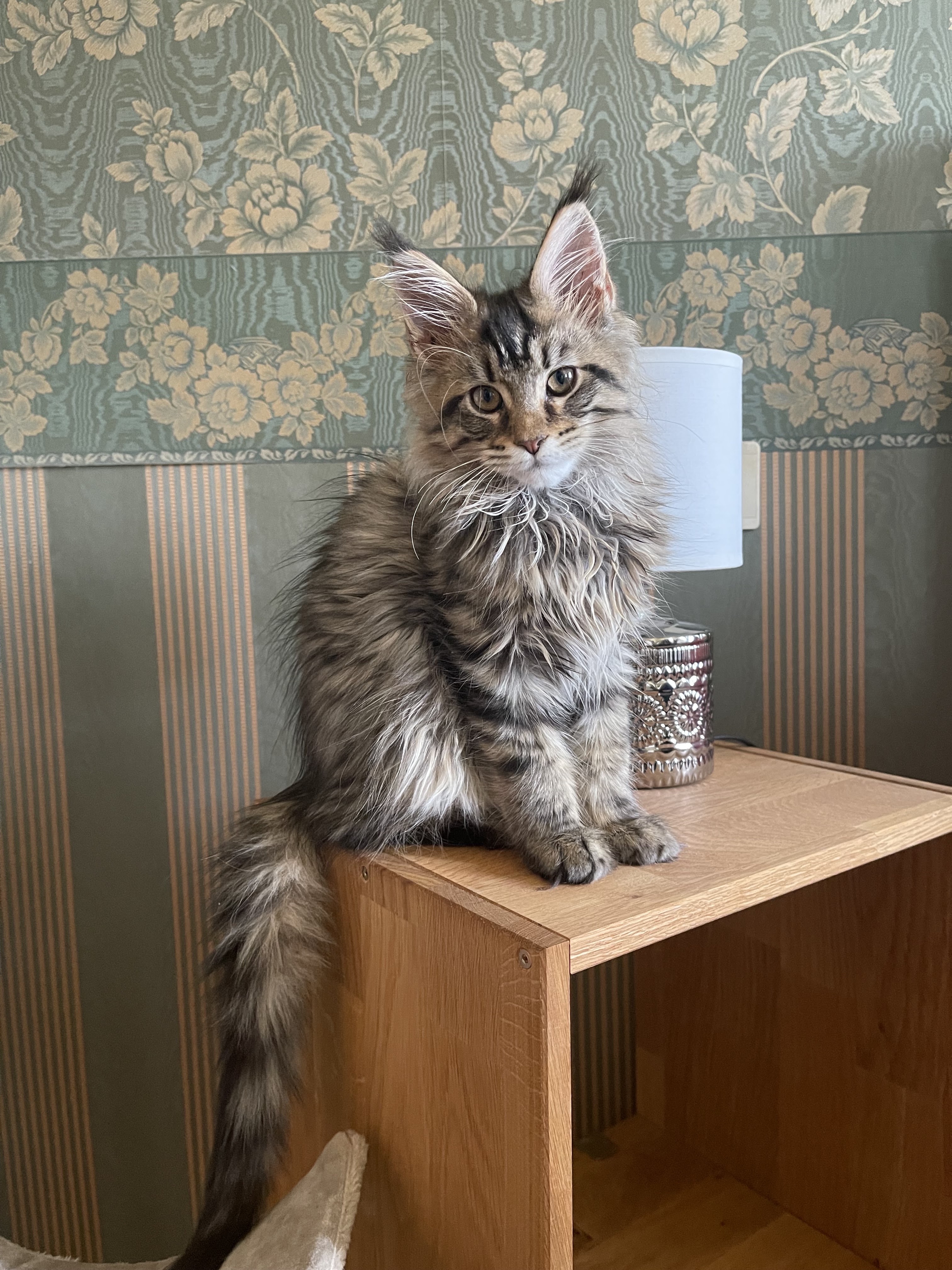 Photo n° 2 de l'avis de Hélène.o fait le 10/03/2024 à 18:36