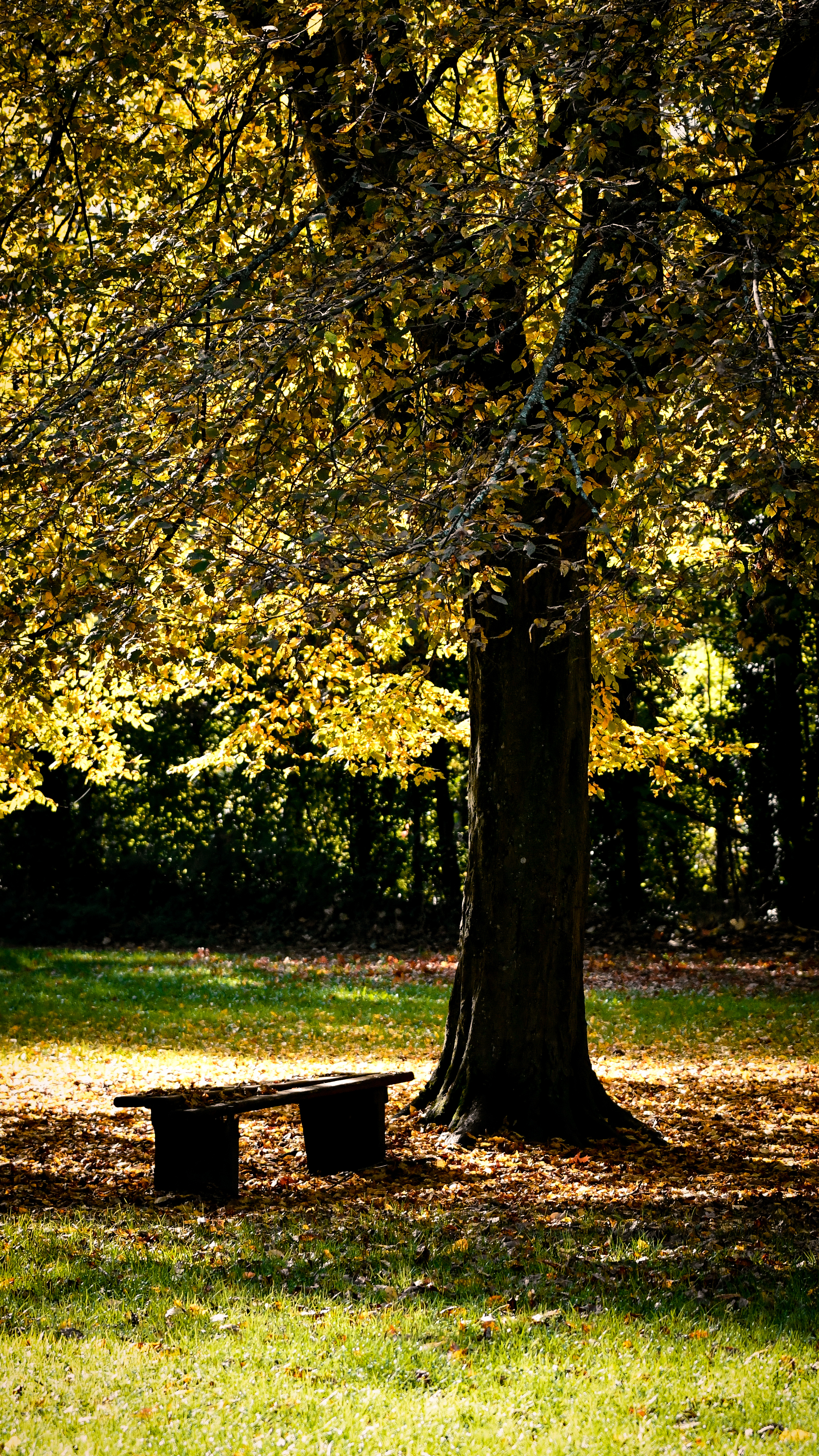 Photo n° 8 de l'avis de Marc.. fait le 17/10/2022 à 13:49