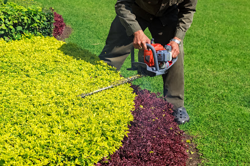 Lawn care service Oakland