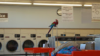 Clean Threads Super Laundry - Photo 7 - Car repair in Murfreesboro, TN, Murfreesboro