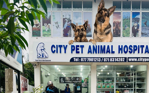 City Pet Animal Hospital, Kottawa Branch image