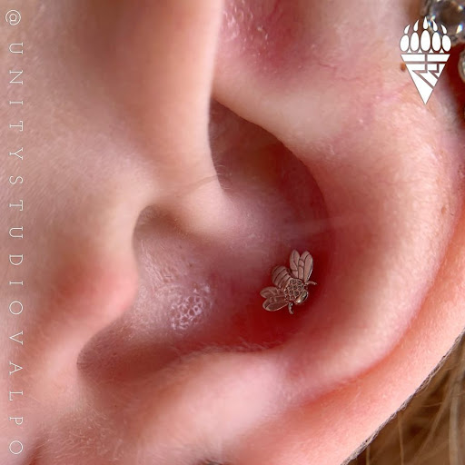 Explore dumb tattoo ideas, creative tattoo ideas in Valparaiso, available at Unity Studio