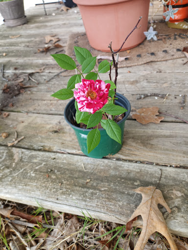 Restaurant «One Acre Café», reviews and photos