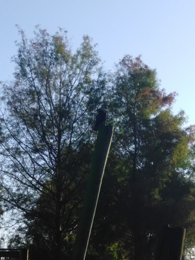 Community Center «Gaines Park Community Center», reviews and photos, 1501 N Australian Ave, West Palm Beach, FL 33401, USA