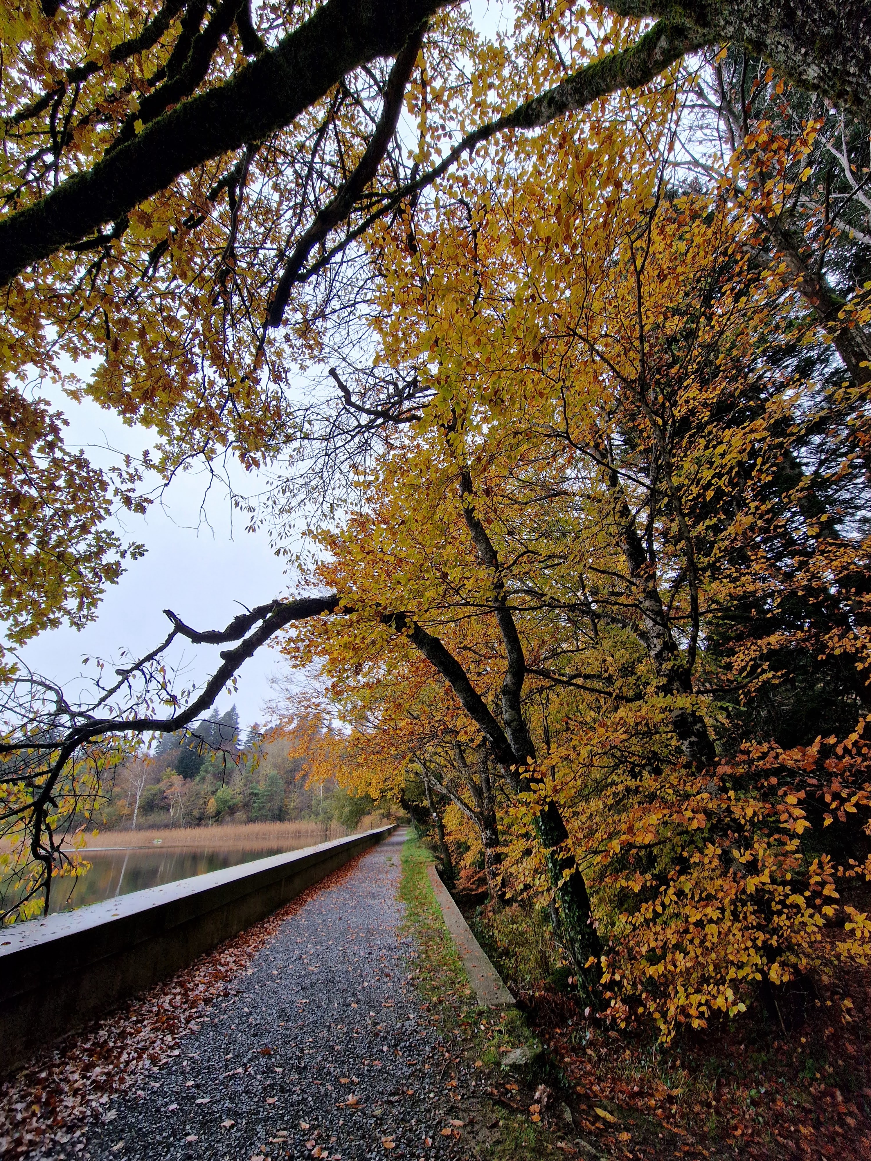 Photo n° 12 de l'avis de Laurence.a fait le 11/12/2022 à 00:44