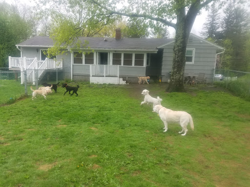 The Playyard and Home