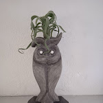 Photo n°10 de l'avis de Marco.i fait le 09/03/2022 à 09:57 sur le  Osteria Degli Artisti à Bussana Vecchia