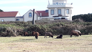 Photo n°92 de Sémaphore de la Pointe Saint Gildas à Préfailles ()