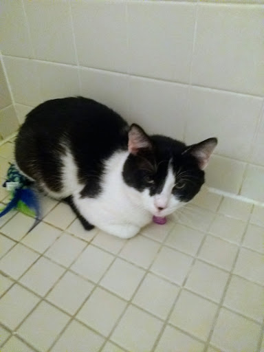 Pet Supply Store «Petco Animal Supplies», reviews and photos, 710 W 66th St, Richfield, MN 55423, USA