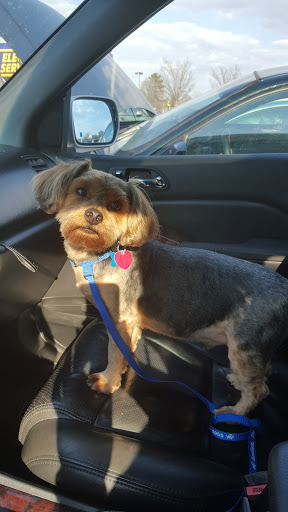 Pet Supply Store «PetSmart», reviews and photos, 1236 Greenbrier Pkwy, Chesapeake, VA 23320, USA